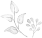 リーフ03